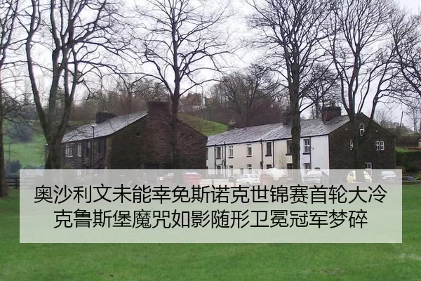 ao-sha-li-wen-wei-neng-xing-mian-si-nuo-ke-shi-jin-sai-shou-lun-da-leng-ke-lu-si-bao-mo-zhou-ru-ying-sui-xing-wei-mian-2-693.jpg